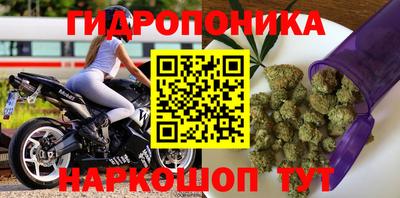 спиды Бузулук